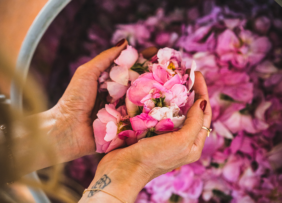 Healing from Roses from Nature’s Pharmacy  with Ho
